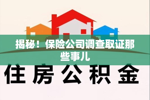 浮梁揭秘！保险公司调查取证那些事儿