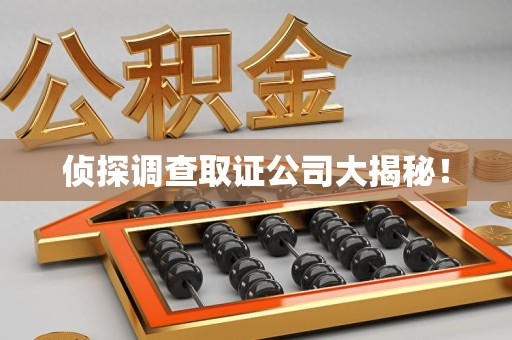 浮梁侦探调查取证公司大揭秘！