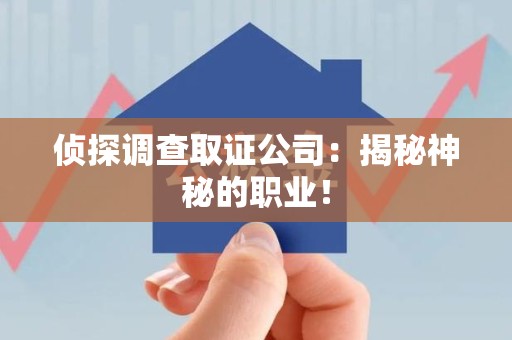 浮梁侦探调查取证公司：揭秘神秘的职业！