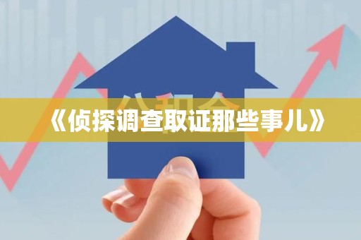 浮梁《侦探调查取证那些事儿》