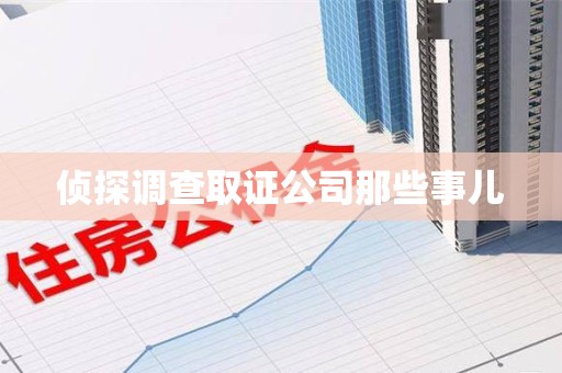 浮梁侦探调查取证公司那些事儿