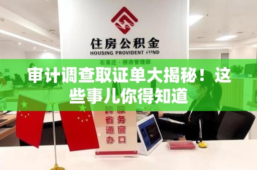 浮梁审计调查取证单大揭秘！这些事儿你得知道