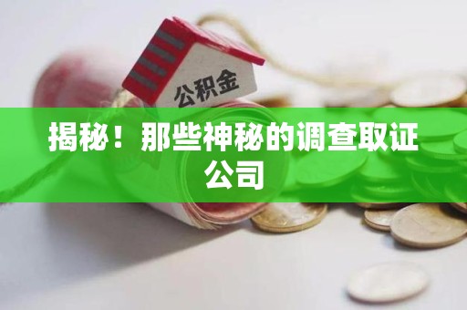 浮梁揭秘！那些神秘的调查取证公司