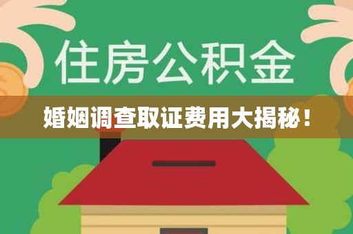 浮梁婚姻调查取证费用大揭秘！