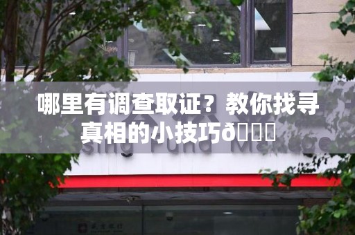 浮梁哪里有调查取证？教你找寻真相的小技巧😎