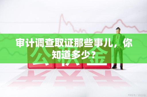 浮梁审计调查取证那些事儿，你知道多少？