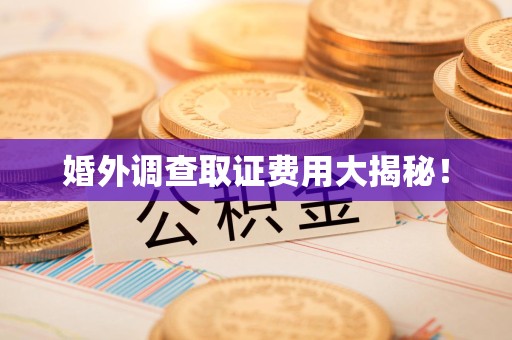 浮梁婚外调查取证费用大揭秘！