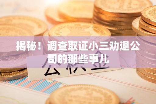 浮梁揭秘！调查取证小三劝退公司的那些事儿