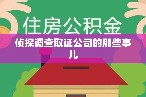 浮梁侦探调查取证公司的那些事儿