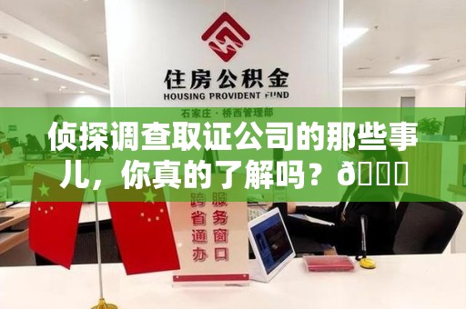 浮梁侦探调查取证公司的那些事儿，你真的了解吗？😎