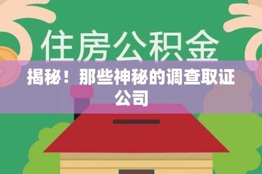 浮梁揭秘！那些神秘的调查取证公司