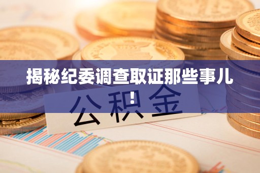 浮梁揭秘纪委调查取证那些事儿！