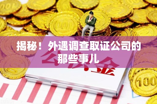 浮梁揭秘！外遇调查取证公司的那些事儿
