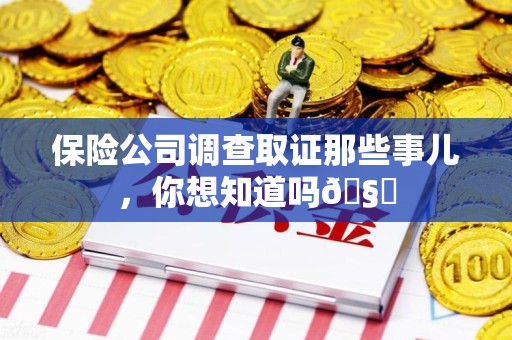 浮梁保险公司调查取证那些事儿，你想知道吗🧐