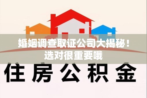浮梁婚姻调查取证公司大揭秘！选对很重要哦