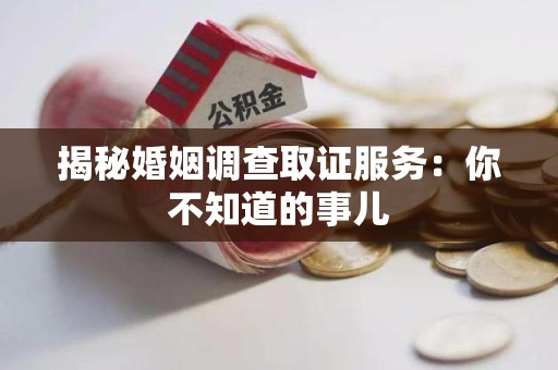 浮梁揭秘婚姻调查取证服务：你不知道的事儿